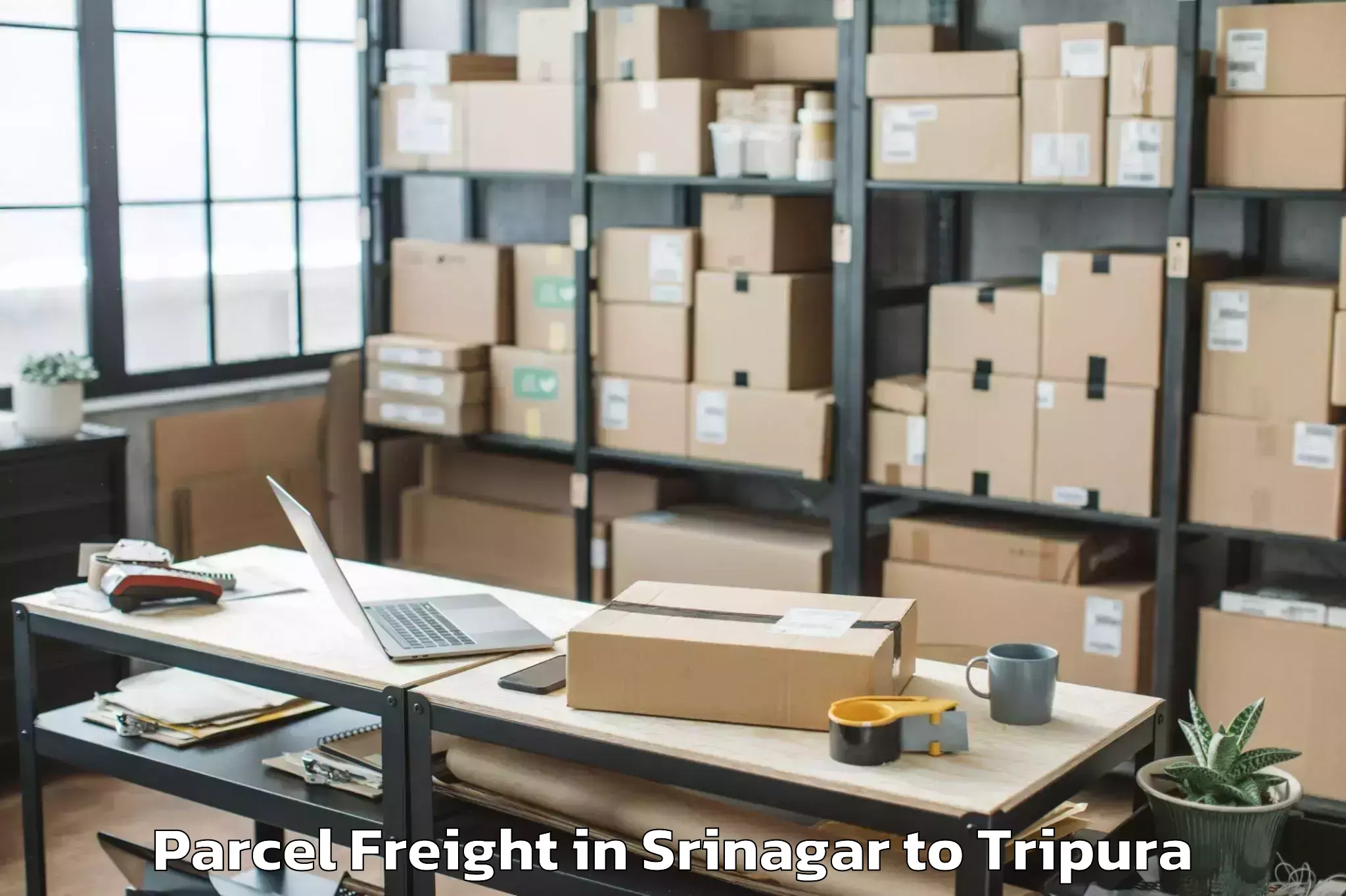 Discover Srinagar to Gournagar Parcel Freight